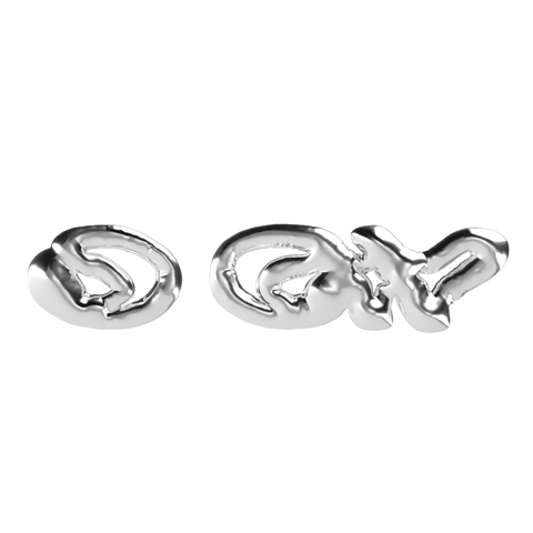 DCW LOGO EARRING (ПРЕДЗАКАЗ)