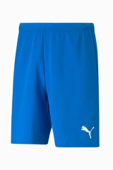 Шорты Puma teamRISE