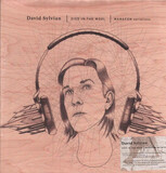 SYLVIAN, DAVID: Died In The Wool-Manafon Variations 2Lp (Виниловая пластинка)