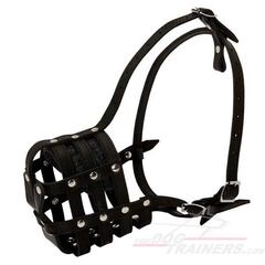 Намордник кожаный сетка Fordogtrainers M41