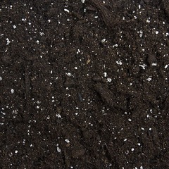 Plagron Light mix 25L