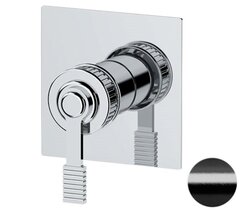 Remer Atelier AL30QCFP Смеситель для душа, цвет: черный хром брашированный фото