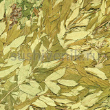 Веник из рябины - 5