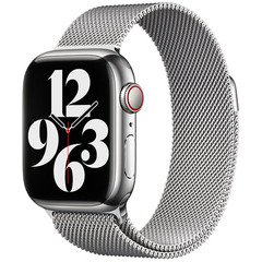 Ремешок Apple 41mm Silver Milanese Loop
