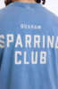 Футболка Boxraw Sparring Club Голубой
