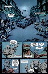 Teenage Mutant Ninja Turtles: Ongoing Compendium Vol. 1 (На английском языке)