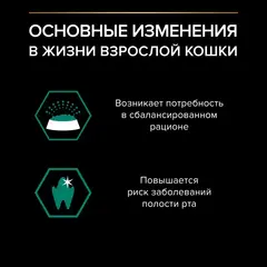 Pro Plan пауч для взрослых кошек с говядиной в соусе 85г