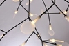 Люстра Heracleum D98 — фото 3