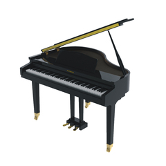 Flykeys FGP110