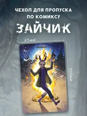 Чехол для пропуска 
