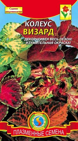 Семена Колеус Визарт смесь, Мнг