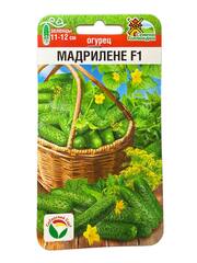 Огурец Мадрилене F1 (Сибирский сад)