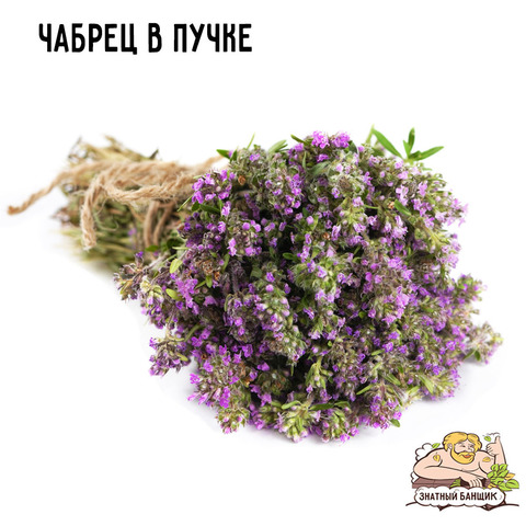 Чабрец в пучке