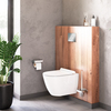 Damixa DX22C1700SC Apollo подвесной унитаз без ободка с сиденьем микролифт