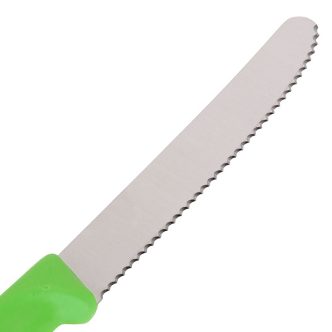 Набор Victorinox Swiss Classic, зелёный (6.7836.L114B)