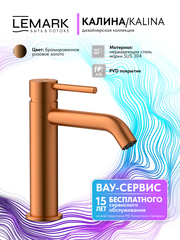Смеситель для умывальника Lemark LMF-2112S-BRRG 