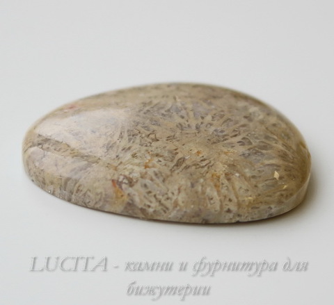 Кабошон Коралл 38,6х32х7,4 мм №14 ()