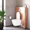 Damixa DX22C1700SC Apollo подвесной унитаз без ободка с сиденьем микролифт