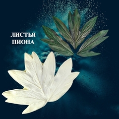 Молд пластиковый 