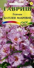 Семена Годеция Каттлея махровая, Одн