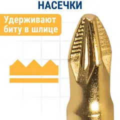 Бита отверточная ПРАКТИКА Эксперт PZ-2 х  70 мм (915-564)