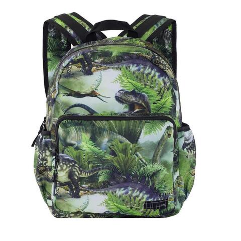 Рюкзак Molo Big Backpack Dinos