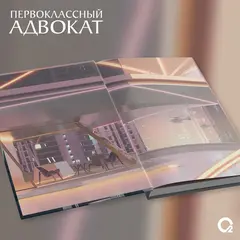 Первоклассный адвокат. Том 2
