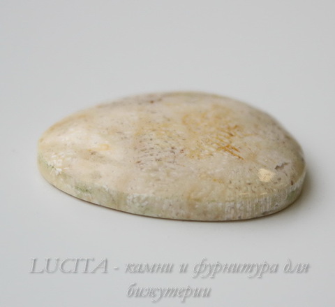 Кабошон Коралл 36х30,7х7,4 мм №11 ()