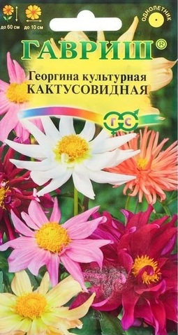 Семена Георгина кактусовидная смесь