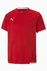 Футболка Puma teamLIGA Junior