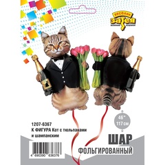 Шар К Фигура, Кот с тюльпанами и шампанским, 46