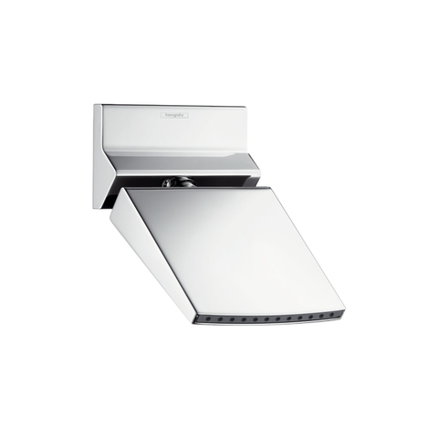 Hansgrohe Raindance Rainfall 26443000 Душ верхний малый 15 см