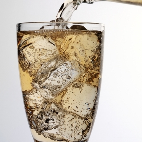 Ароматизатор TPA Ginger Ale Flavor (NF)