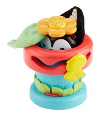 Fisher Price Развивающая игрушка 