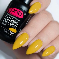 Гель лак PNB 250