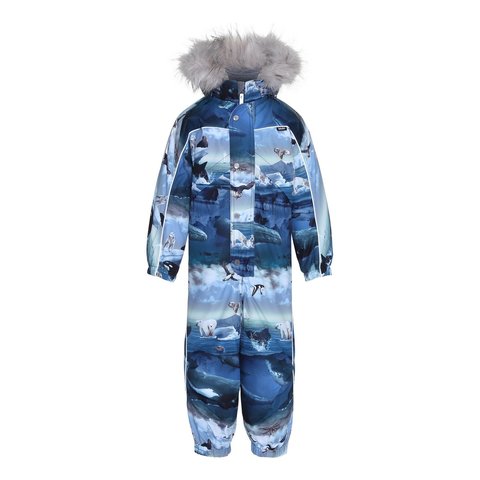 Molo Polaris Arctic Landscape