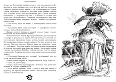 Рыжий и Полосатый. Коллекционное издание