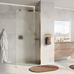 WasserKRAFT Rur 30W39BG-TXG Душевое ограждение фото