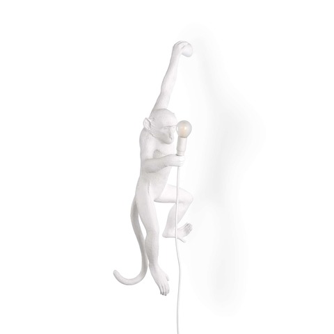 Фото: Настенный светильник Monkey Lamp Outdoor Hanging Left - основной вид
