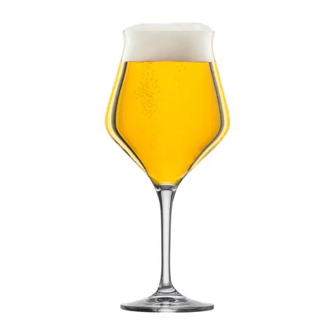 Набор из 2 бокалов для пива Craft Beer Experts 435 мл EISCH арт. 180110