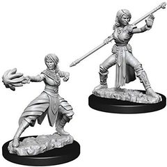 D&D Nolzur's Marvelous Miniatures - Female Half-Elf Monk