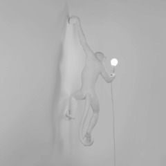 Настенный светильник Monkey Lamp Outdoor Hanging Left