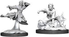 D&D Nolzur's Marvelous Miniatures - Female Human Monk