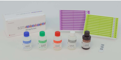 S-Blot 3 — это одношаговый, полностью автоматизированный иммуноблот-анализатор на основе 3-осевой роботизированной системы