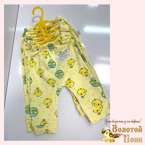 Штанишки хлопок/рубчик (56-80) 251204-W2203