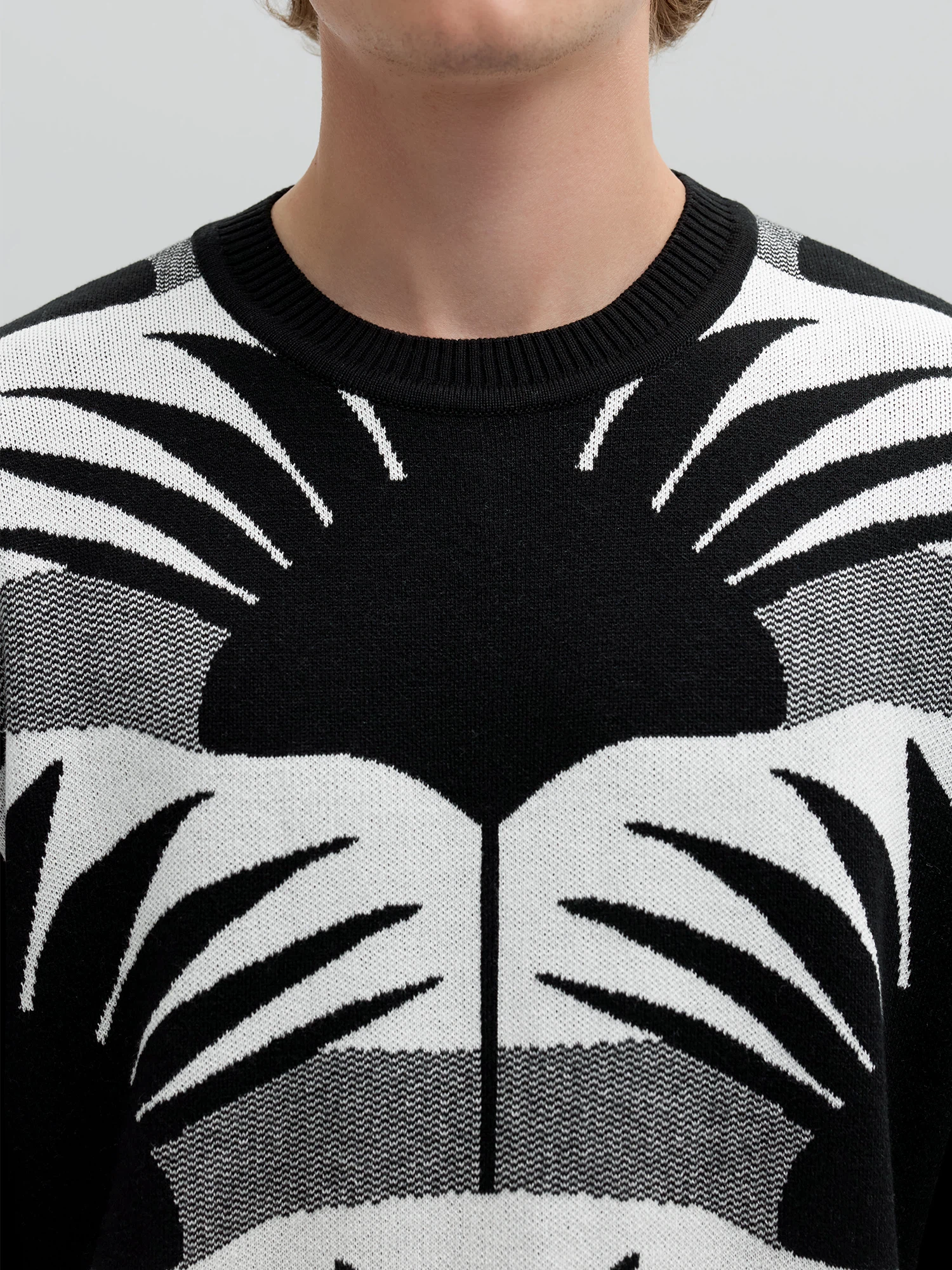 Топ Litvinov GRAFICA II