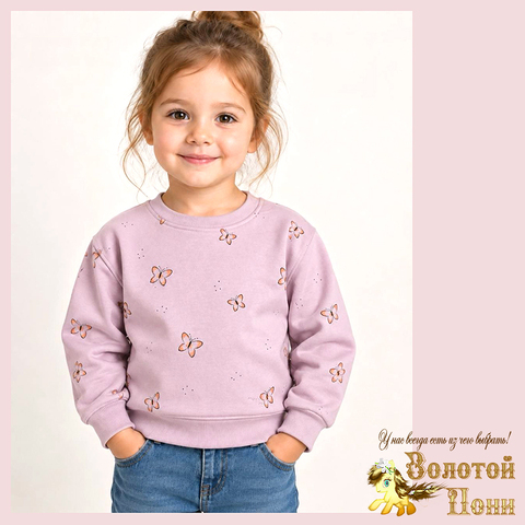 Свитшот хл/начес д (1-5) 260916-CZ-781