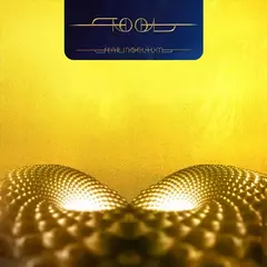 Виниловая пластинка. Tool – Fear Inoculum