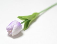 Тюльпан одиночный закрытый, латексный, 35 см, 1 шт.