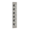 Gessi 316 54520#239 Встраиваемый термостатический смеситель на 5 источников, резьба 3/4" (внешние части), цвет: steel brushed